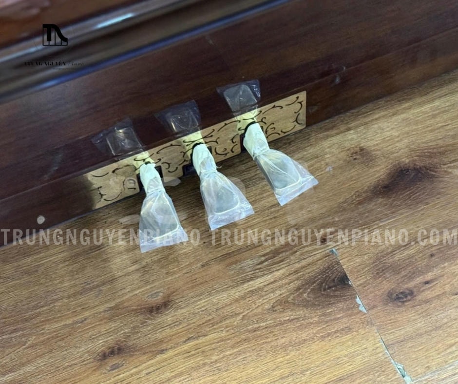 Đàn Piano Bernstein BU550DW được trang bị đầy đủ 3 pedal tiêu chuẩn