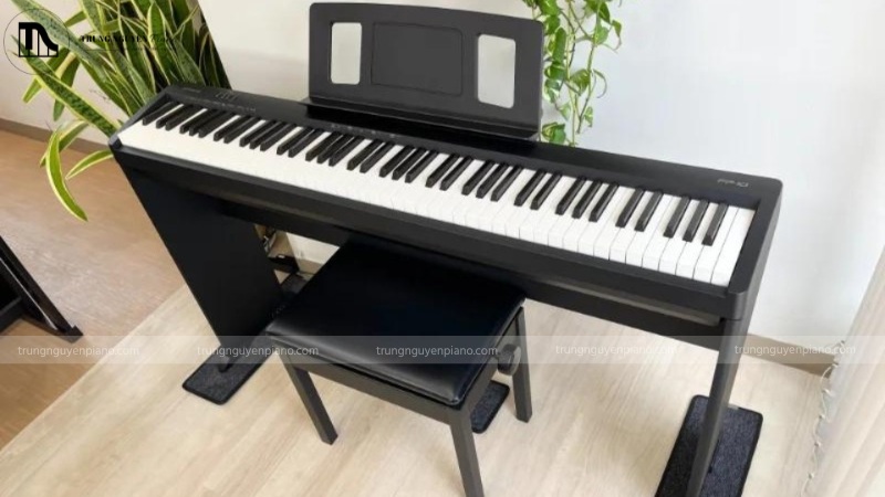 Đàn piano điện Roland FP-10