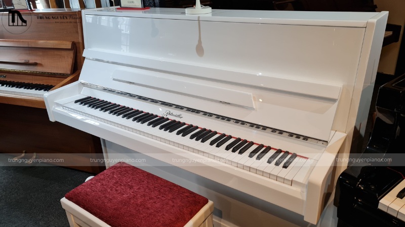 Đàn piano cơ Ritmuller UP120RB