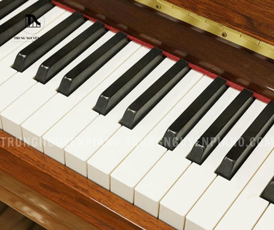 Đàn Piano Cristofori RU121W 13 Đàn piano Cristofori RU121W được trang bị 88 phím chuẩn, mang lại cảm giác chơi đàn thoải