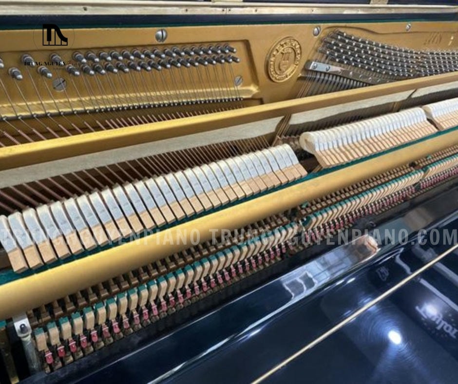 Đàn Piano Eterna 1 9 Đàn Piano Eterna 1 với búa đàn có chất liệu cao cấp, bền bỉ