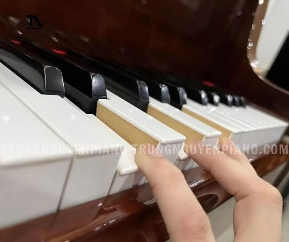 Bàn phím của KL704 được thiết kế với 88 phím theo tỉ lệ chuẩn