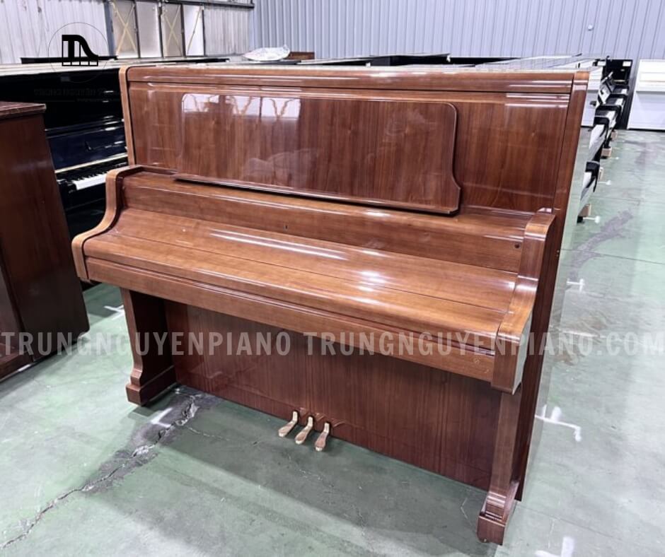 Đóng nắp đàn khi không sử dụng để tránh bụi bẩn và côn trùng