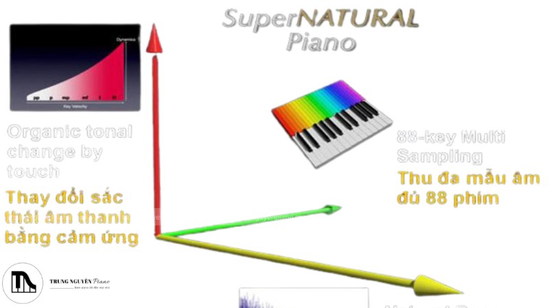 Công nghệ SuperNATURAL Piano Modeling