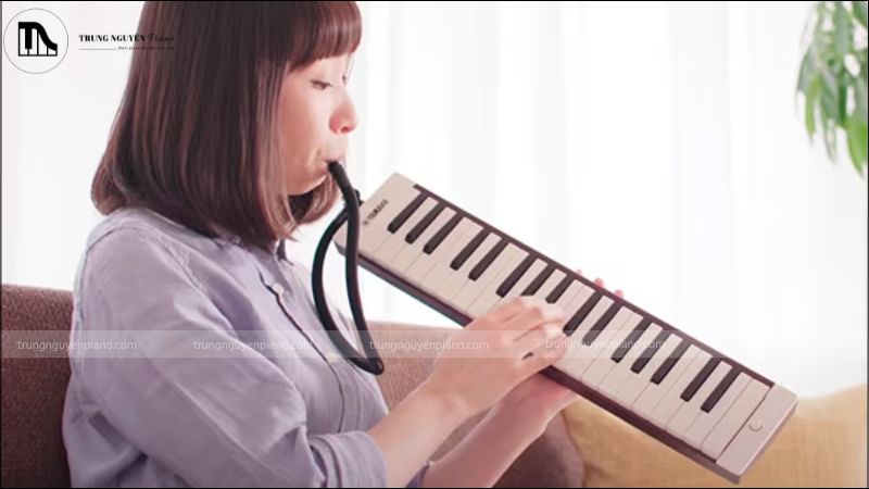 Việc học và chơi đàn Pianica mang lại nhiều lợi ích 