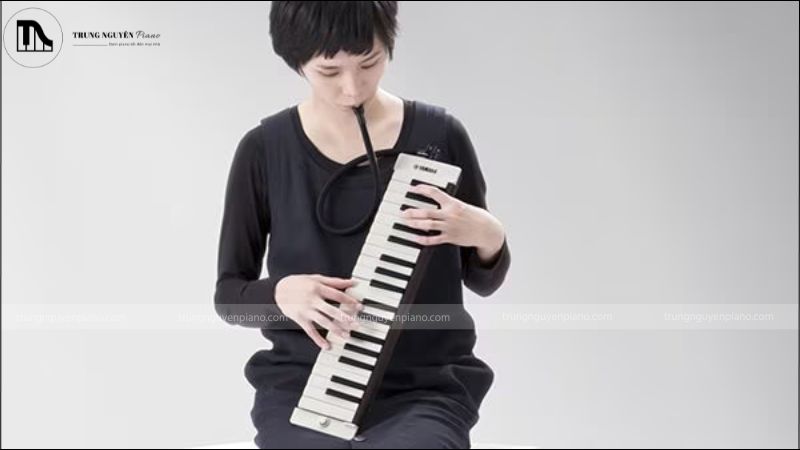 Nhạc sĩ chơi đàn piano thổi 