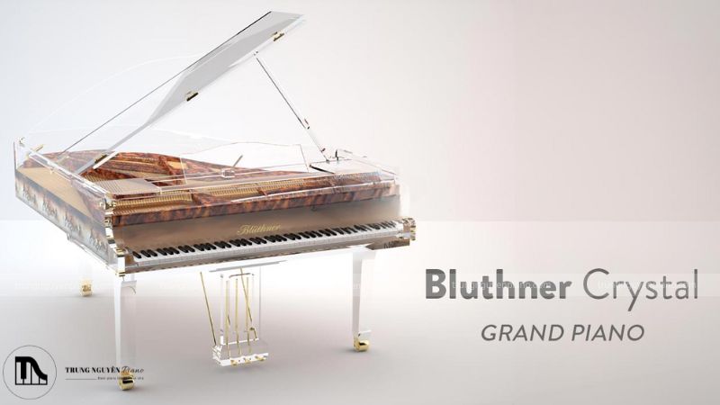 Đàn Piano trong suốt là gì? Chi tiết cấu tạo, công nghệ và bảng giá mới 6 Thương hiệu đàn piano Bluthner mang phong cách cổ điển và đẳng cấp