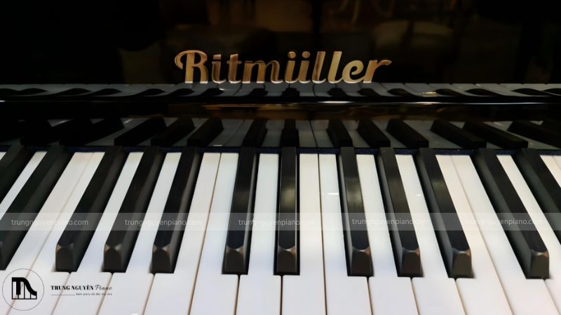 Đàn Piano trong suốt là gì? Chi tiết cấu tạo, công nghệ và bảng giá mới 7 Thương hiệu đàn piano Ritmuller một thương hiệu lâu đời