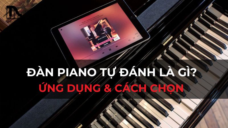 Đàn piano tự đánh là gì? Khám phá công nghệ, ứng dụng & cách chọn