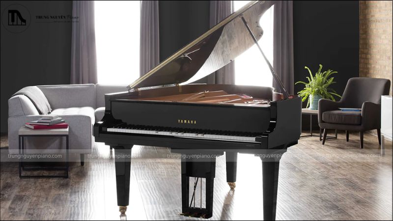 Đàn piano tự đánh là gì? Khám phá công nghệ, ứng dụng & cách chọn 3 Đàn piano tự đánh Yamaha Disklavier