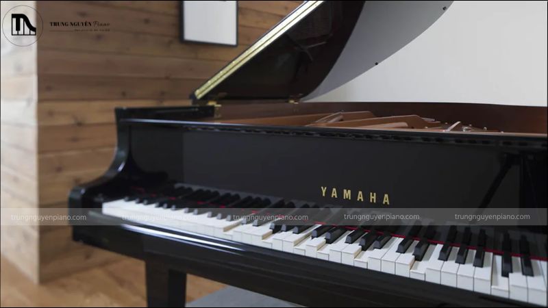 Đàn piano tự đánh là gì? Khám phá công nghệ, ứng dụng & cách chọn 7 Đàn piano tự đánh mang đến nhiều lợi ích đáng giá