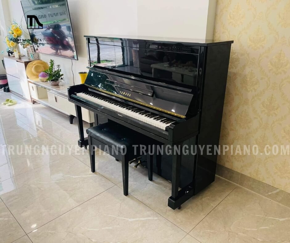 Vỏ đàn được chế tác từ gỗ cao cấp