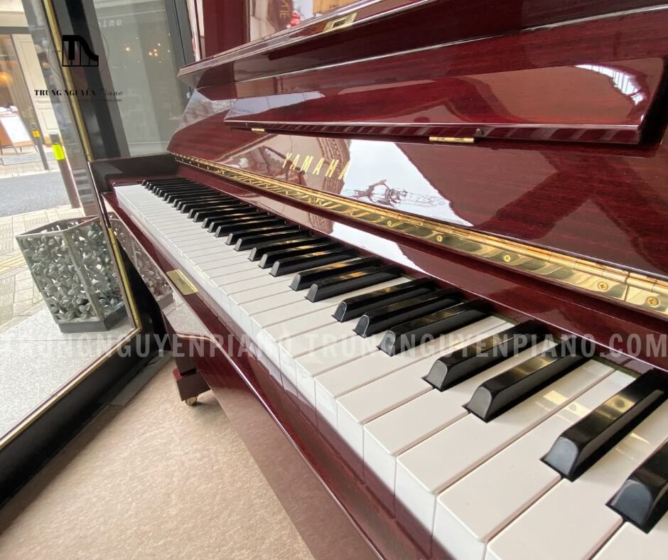 Bàn phím 88 phím của W08B được Phenolic Resin phủ bên ngoài