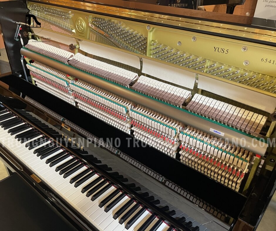 Đàn Piano Yamaha YUS5 6 YUS5 mang lại âm thanh phong phú