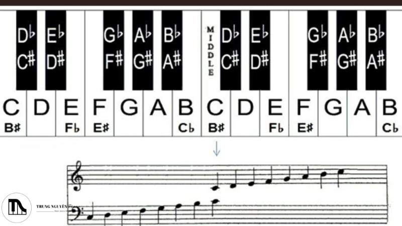 Hướng dẫn cách đệm đàn piano cơ bản cho người mới bắt đầu 1 Khuông nhạc và vị trí các nốt nhạc trên đàn Piano