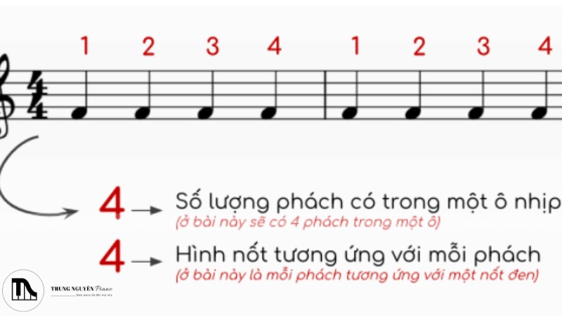Hướng dẫn cách đệm đàn piano cơ bản cho người mới bắt đầu 2 Khuông nhạc piano với kiểu nhịp phổ biến