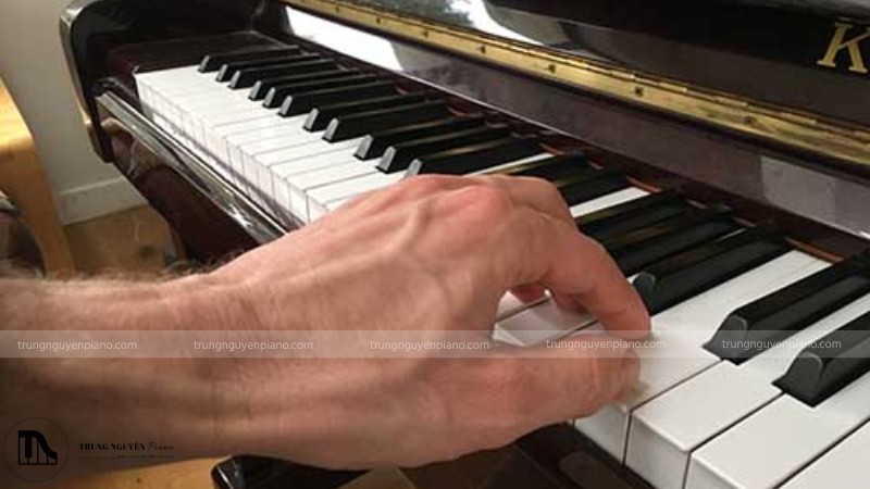 Hướng dẫn cách đệm đàn piano cơ bản cho người mới bắt đầu 3 cách đệm đàn piano tay trái