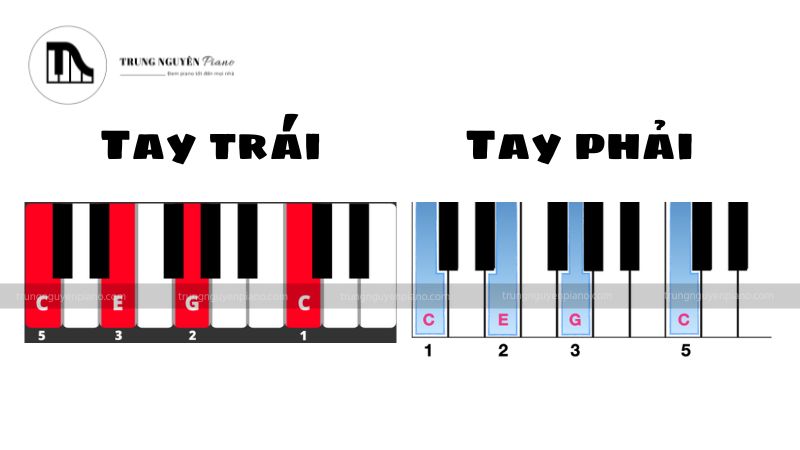 Hợp âm Đô trưởng (C) - Tay phải & Tay trái