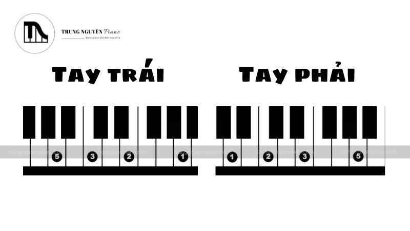 Hợp âm La thứ (Am) - Tay phải & Tay trái