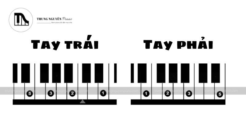 Hợp âm Mi thứ (Em) - Tay phải & Tay trái