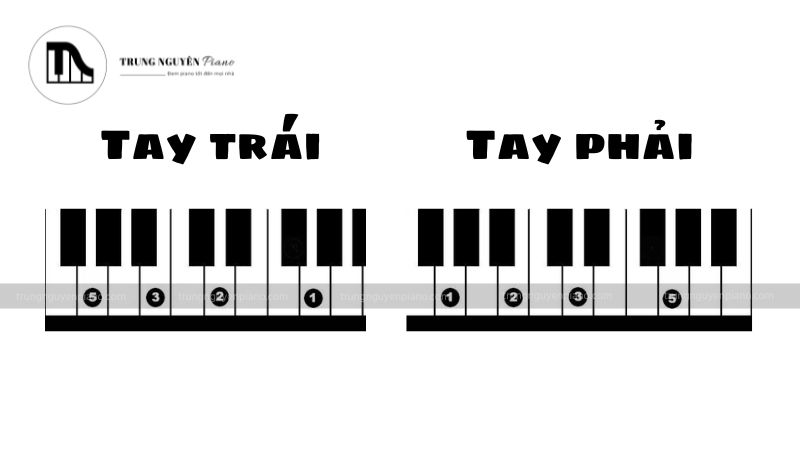 Hợp âm Sol trưởng (G) - Tay phải & Tay trái