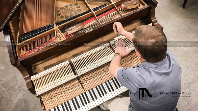 Kiểm Tra Lại Toàn Bộ Và Tinh Chỉnh Lần Cuối