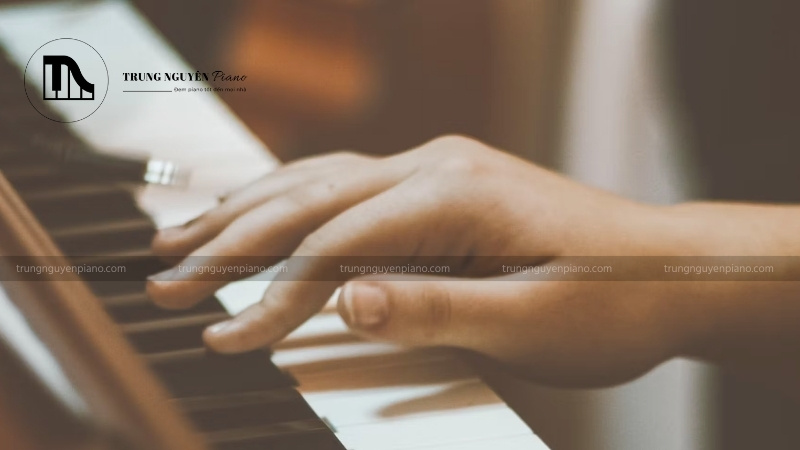 Làm quen với vị trí các ngón tay trên phím đàn