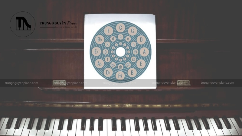 Luyện tập chơi các vòng hợp âm cơ bản