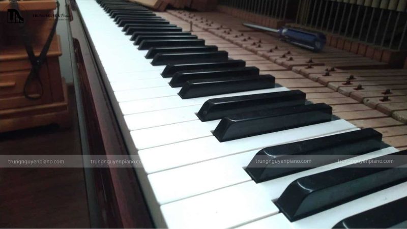 Kiểm tra và bảo dưỡng đàn Piano định kỳ