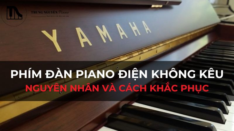 Phím Đàn Piano Điện Không Kêu: Nguyên Nhân và Cách Khắc Phục Tại Nhà
