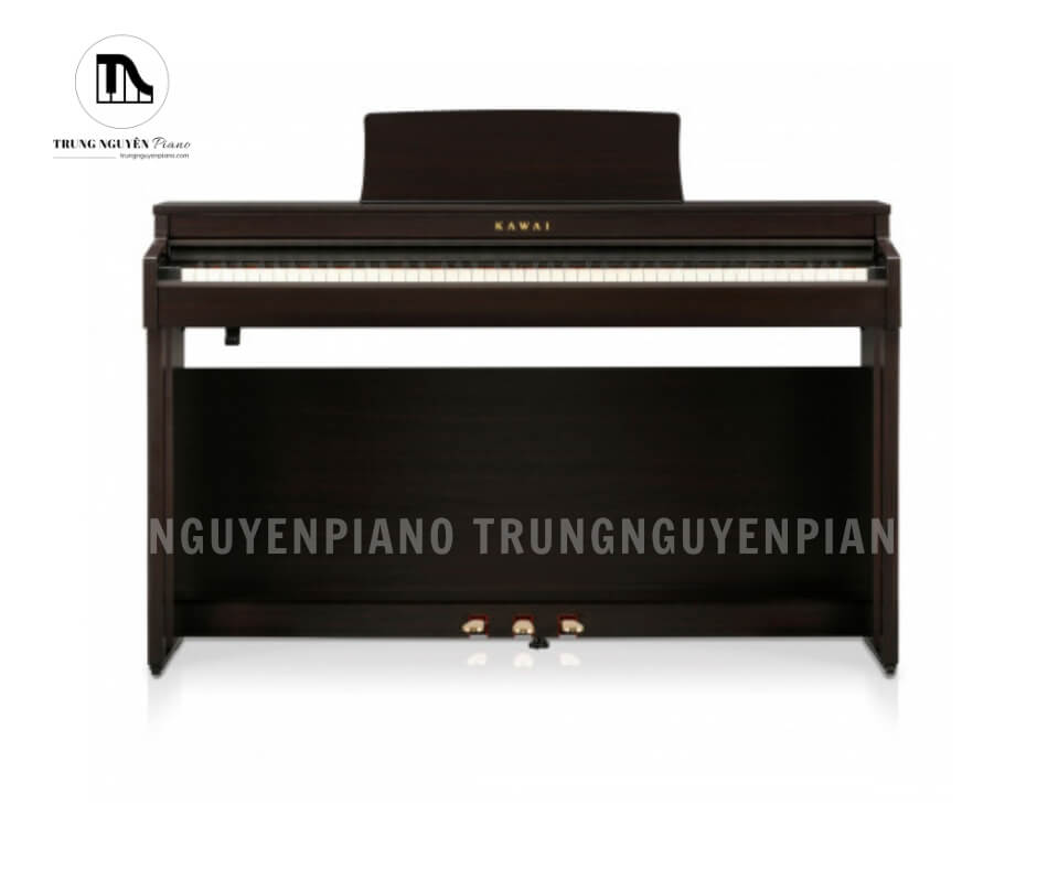 Piano Điện Kawai CN201 R
