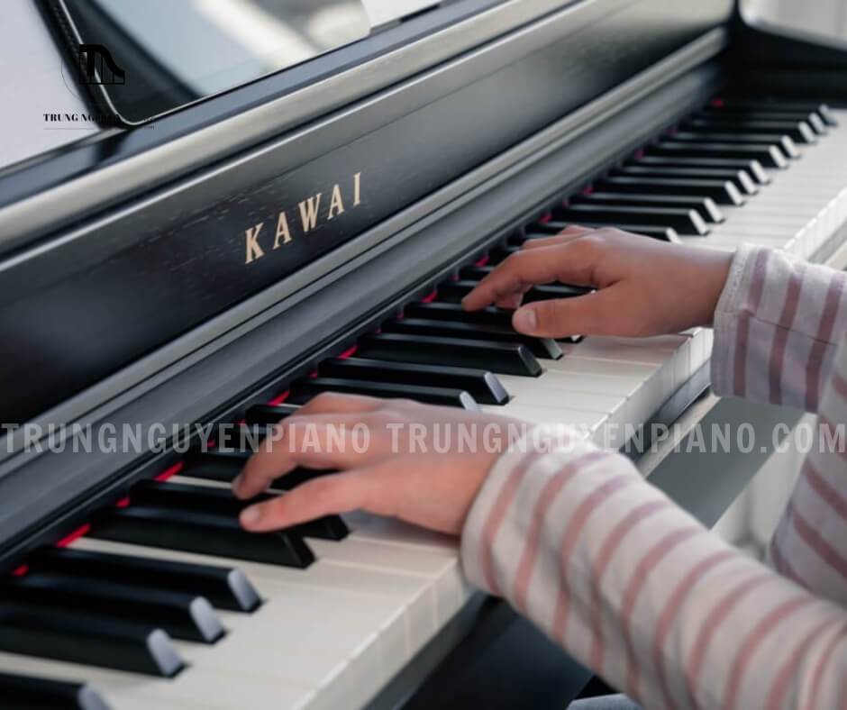 Piano Điện Kawai CN301 R 3 Bàn phím 88 phím của đàn Piano Điện Kawai CN301 R với trọng lượng phím được phân bổ theo từng quãng tám