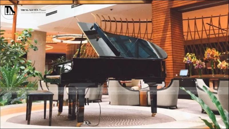 Đàn piano cánh lớn được đặt giữa quán cafe
