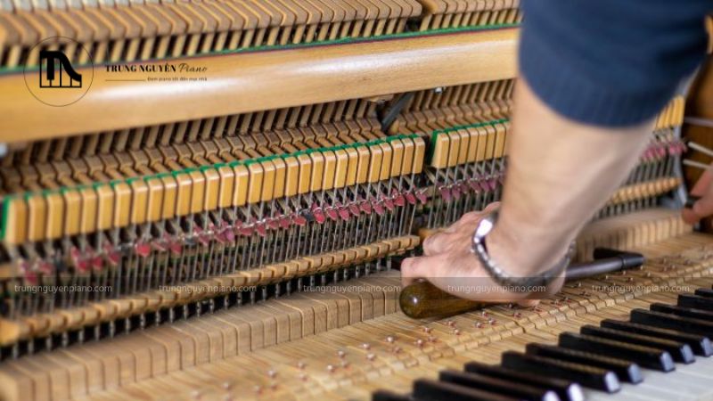 Rủi ro khi tự lên dây đàn