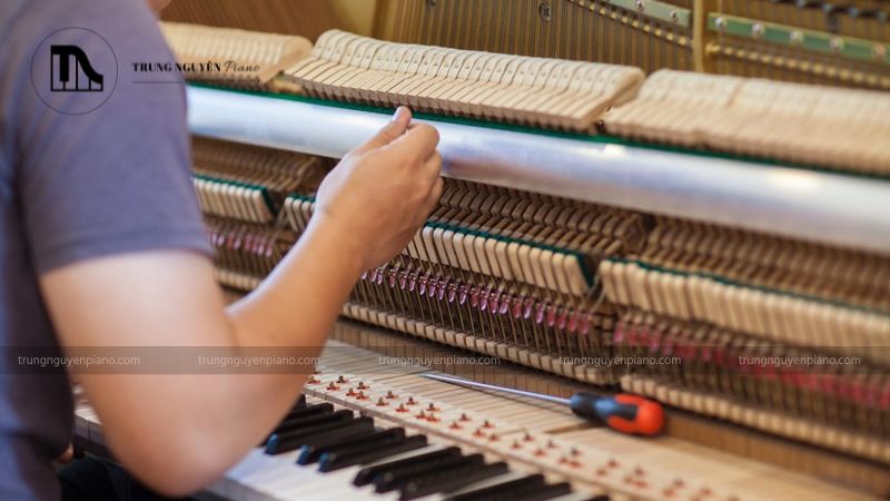 Tại Sao Cần Lên Dây Đàn Piano Định Kỳ?