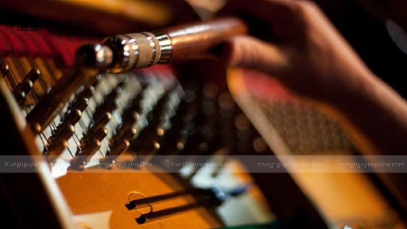 Bao lâu nên lên dây đàn piano? Dấu hiệu và lời khuyên từ chuyên gia 5 Ảnh hưởng của khí hậu Việt Nam đến việc lên dây đàn piano