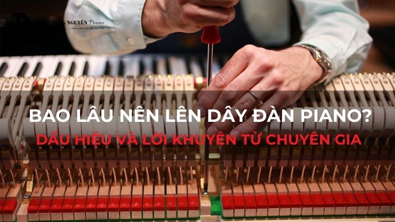 Bao lâu nên lên dây đàn piano
