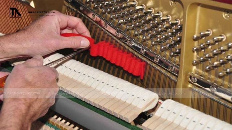 Bao lâu nên lên dây đàn piano? Dấu hiệu và lời khuyên từ chuyên gia 2 Bao lâu thì nên lên dây đàn piano một lần