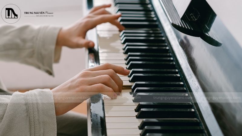 Đảm bảo an toàn cho đàn