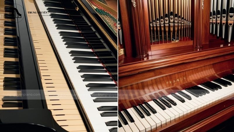 Đạt đến trình độ chuyên nghiệp_ Piano hay organ thách thức hơn