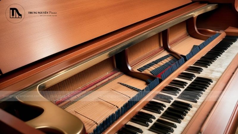 Bao lâu nên lên dây đàn piano? Dấu hiệu và lời khuyên từ chuyên gia 3 Dấu hiệu nhận biết đàn piano cần được lên dây