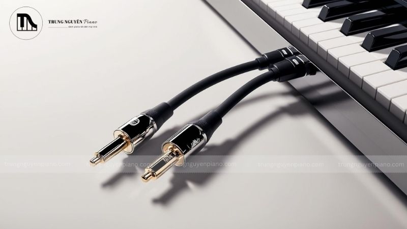 Dây Cáp Kết Nối - Mở Rộng Khả Năng Kết Nối Cho Piano Điện [Hình ảnh_ Dây cáp kết nối]