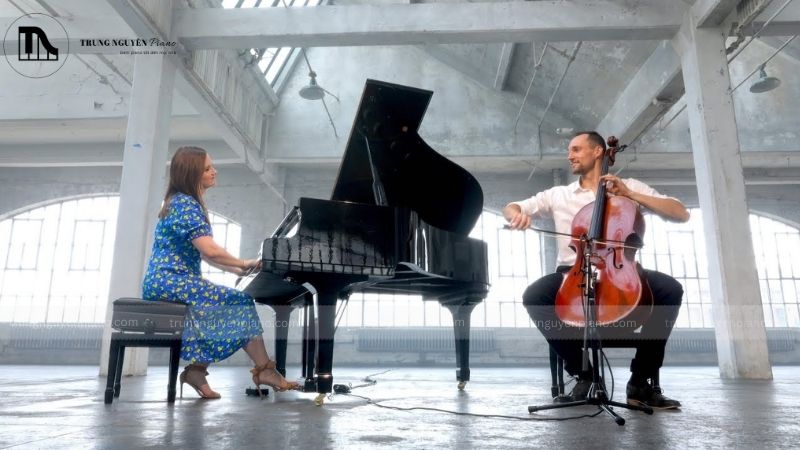 Giới thiệu về bản nhạc Canon in D