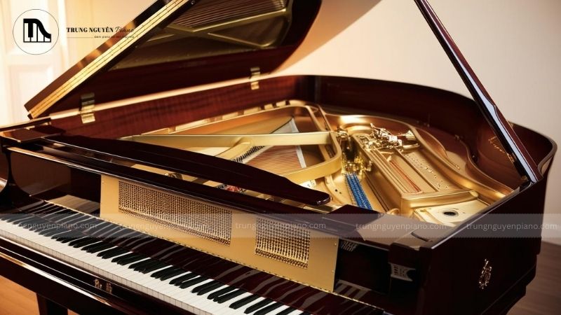 Nắp đàn và khóa nắp