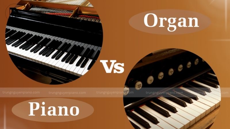 Piano và Organ_ Khác biệt từ Hình thức đến Âm thanh