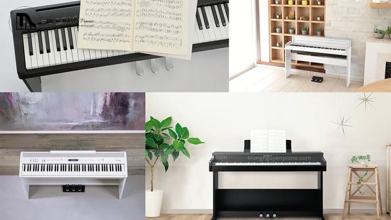 Tổng hợp các phụ kiện đàn piano giúp bảo vệ đàn và nâng cao trải nghiệm 19 Ưu Tiên Thương Hiệu Uy Tín - Đảm Bảo Chất Lượng, An Tâm Sử Dụng