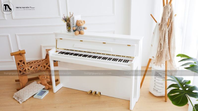 Đàn Piano Apollo của nước nào? Có tốt không, có nên mua không? 5 Apollo là lựa chọn đáng tin cậy cho người yêu piano
