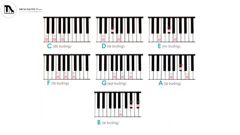 Cảm âm piano - bí quyết nâng cao khả năng cảm thụ âm nhạc 6 Xác định hợp âm trưởng