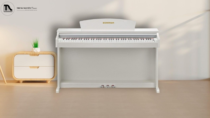 Chọn mẫu đàn có kiểu dáng phù hợp với không gian