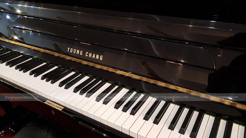 Giới thiệu tổng quan về thương hiệu đàn piano Young Chang